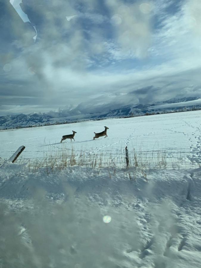 Fox Hollow Inn Bozeman Dış mekan fotoğraf